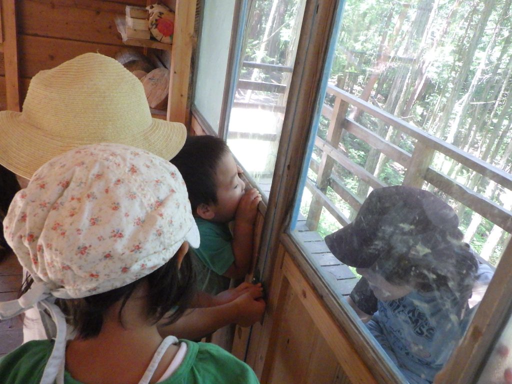 森のようちえんまめぼっち 申込みは本日から